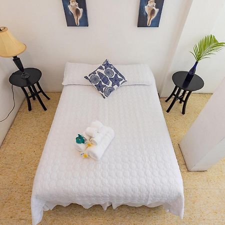 Vieques Tropical Guest House Bagian luar foto