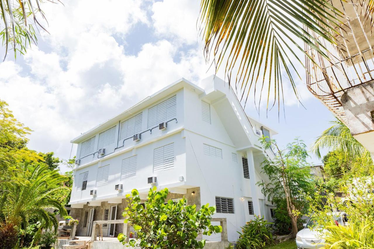 Vieques Tropical Guest House Bagian luar foto