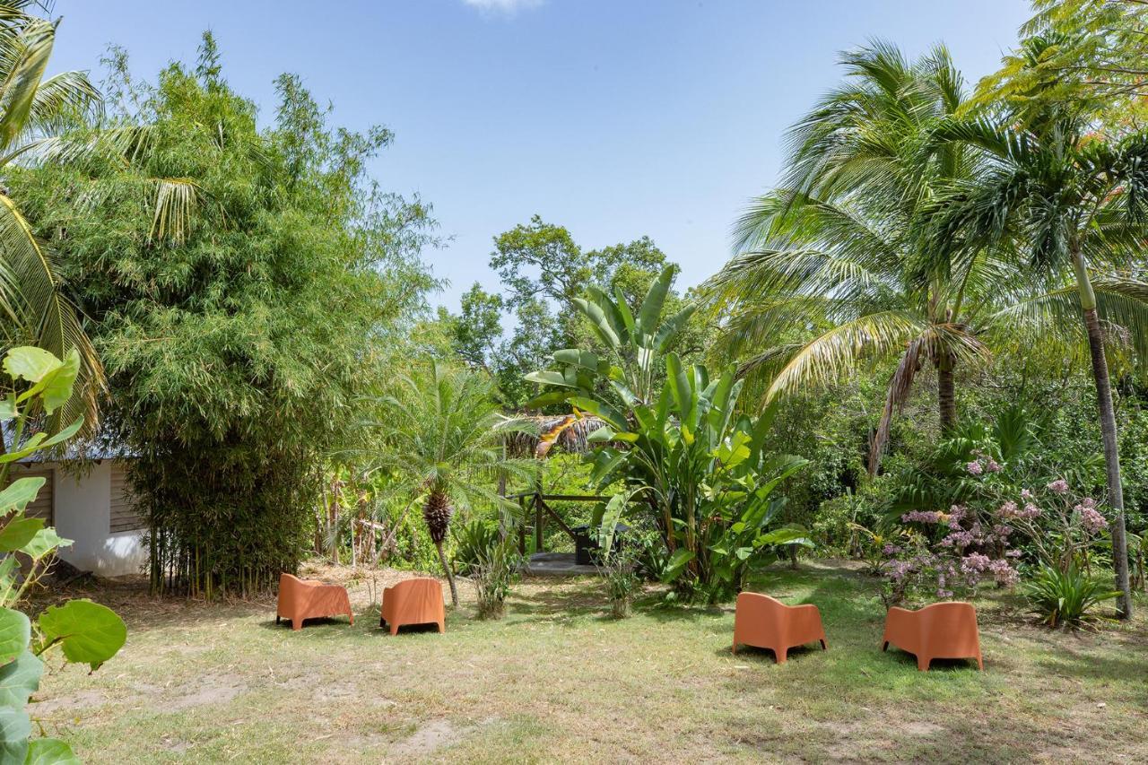 Vieques Tropical Guest House Bagian luar foto